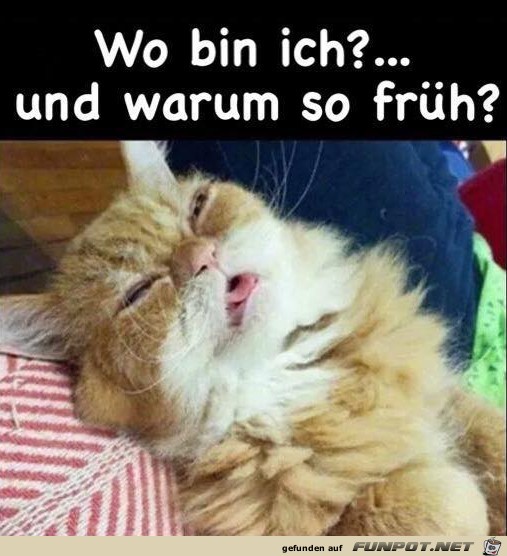 So früh So früh