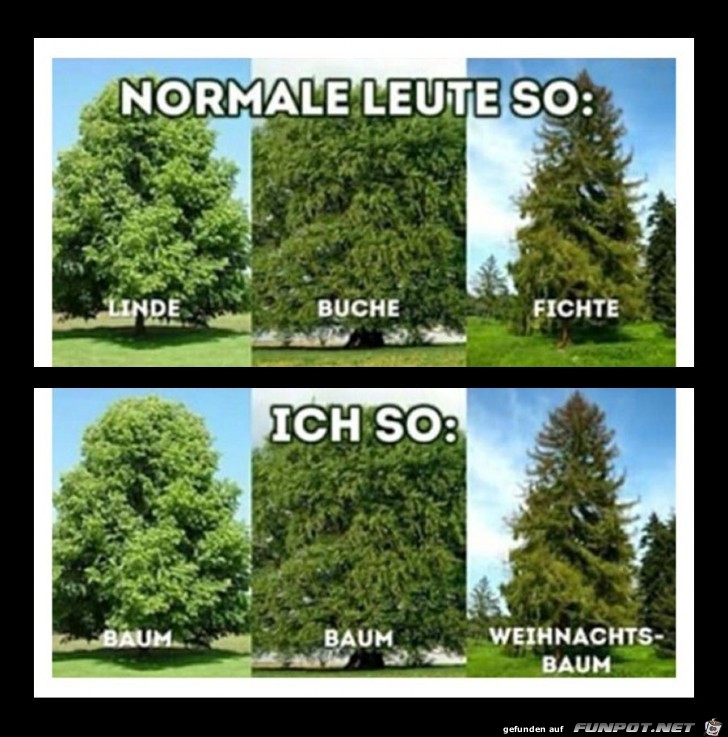 Der feine Unterschied Der feine Unterschied