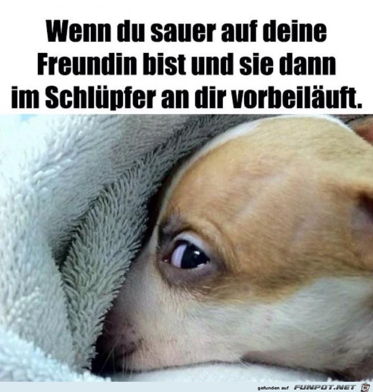 Nur ein kleiner Blick Nur ein kleiner Blick