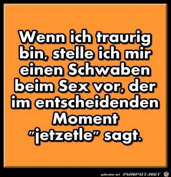 Ein Schwabe Ein Schwabe