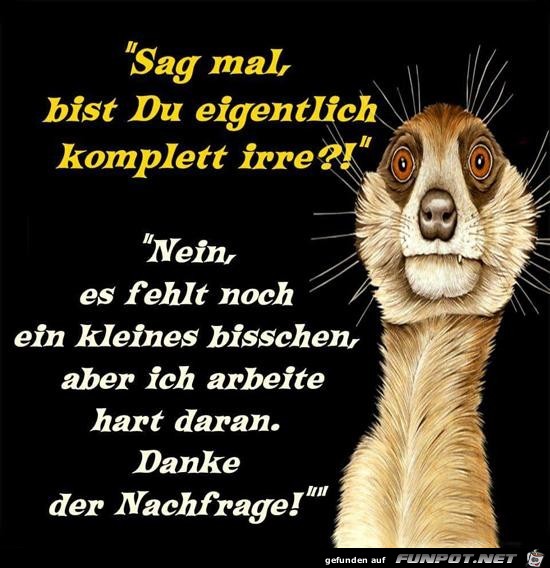 Danke der Nachfrage.....