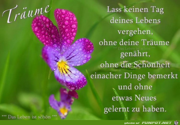 Lass keinen Tag deines Lebens vergehen Lass keinen Tag deines Lebens vergehen