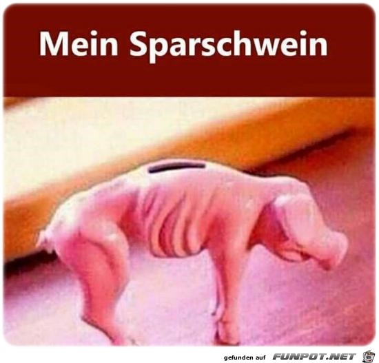 Mein Sparschwein Mein Sparschwein