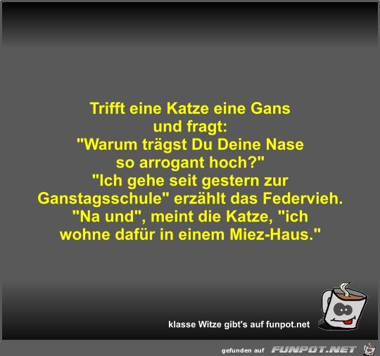 Trifft eine Katze eine Gans und fragt Trifft eine Katze eine Gans und fragt