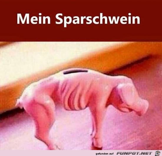 Mein Sparschwein