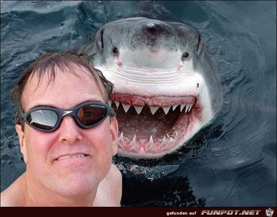 Selfie zur falschen Zeit7 Selfie zur falschen Zeit7