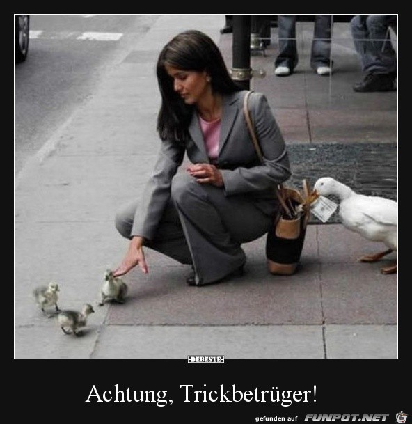 Trickbetrüger Trickbetrüger