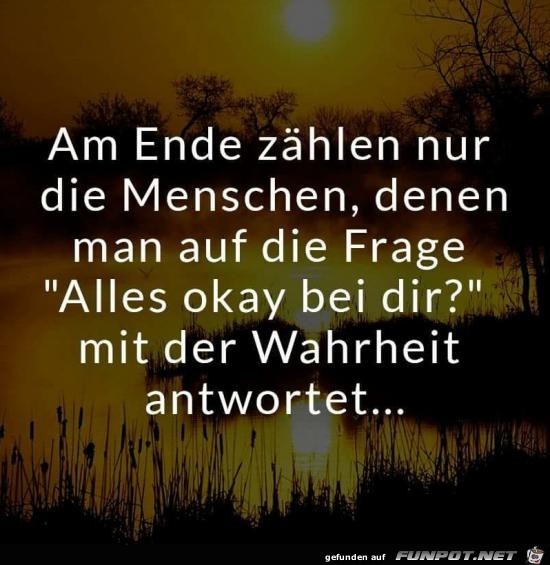 Da ist was dran Da ist was dran