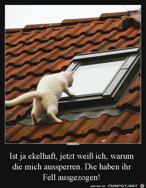 Tierischer Spanner Tierischer Spanner