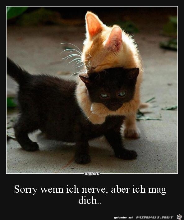 ich mag dich ich mag dich