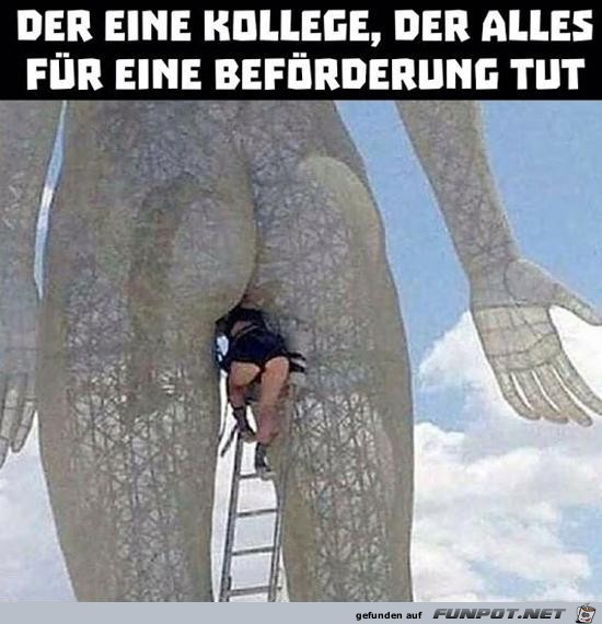 Der eine Kollege...