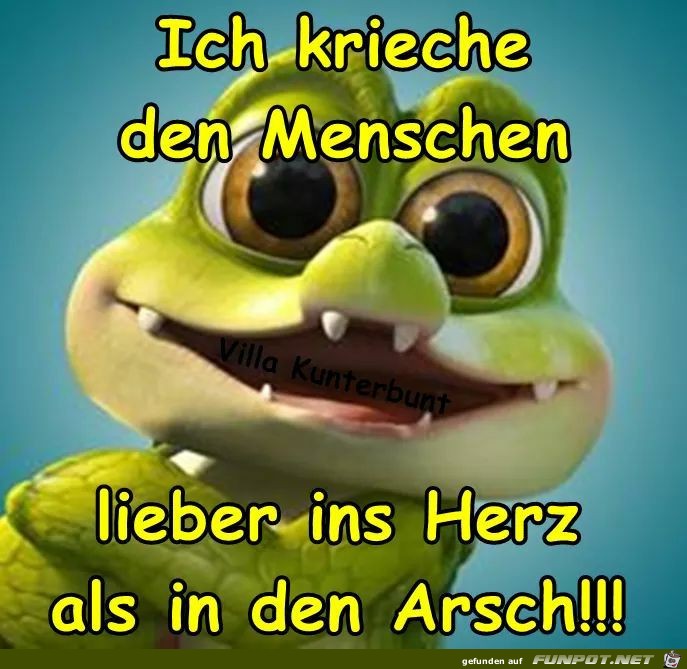 Lieber ins Herz Lieber ins Herz