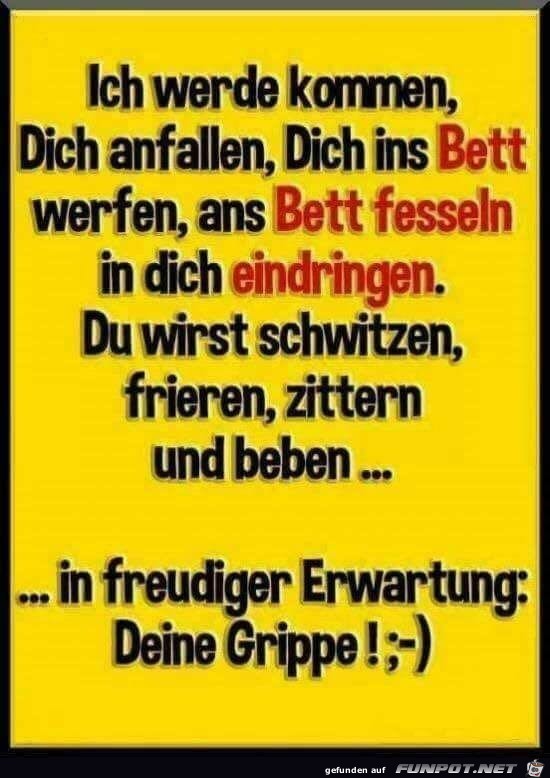 die Grippe die Grippe