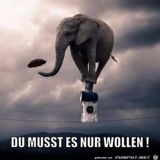 Man muss es nur wollen Man muss es nur wollen