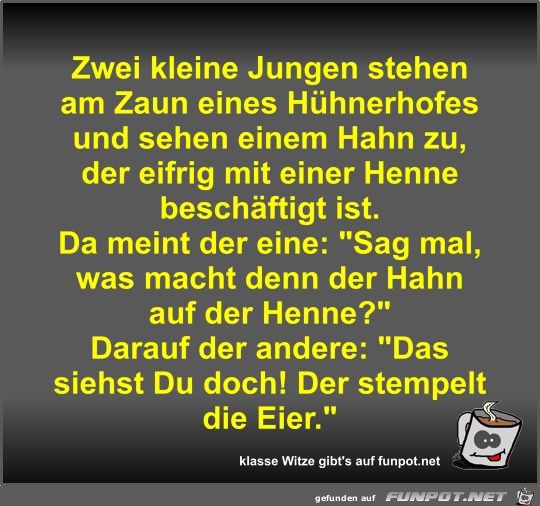 Zwei kleine Jungen stehen am Zaun eines Hühnerhofes und... Zwei kleine Jungen stehen am Zaun eines Hühnerhofes und...