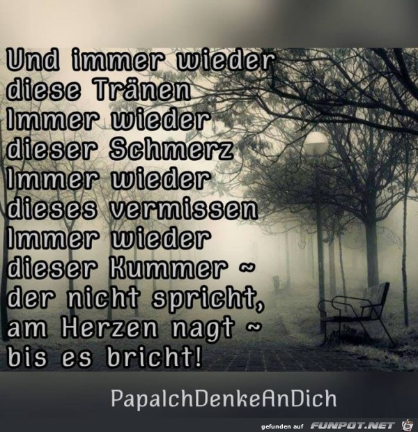 Und immer wieder