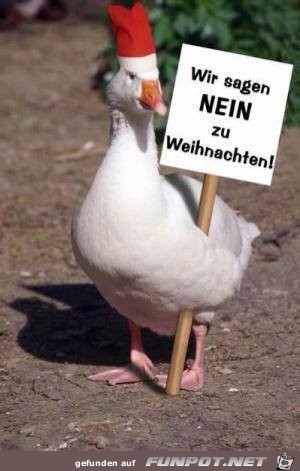 Wir sagen nein Wir sagen nein