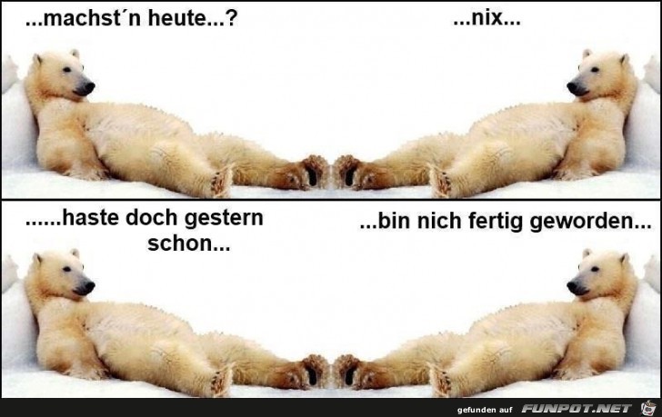 nix nix