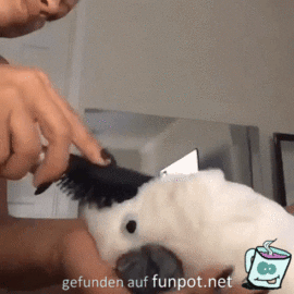 Ich liebe bürsten Ich liebe bürsten