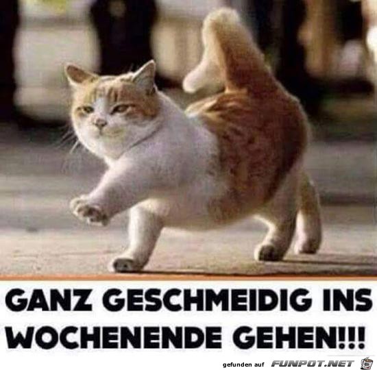 ganz geschmeidig ins Wochenende.........