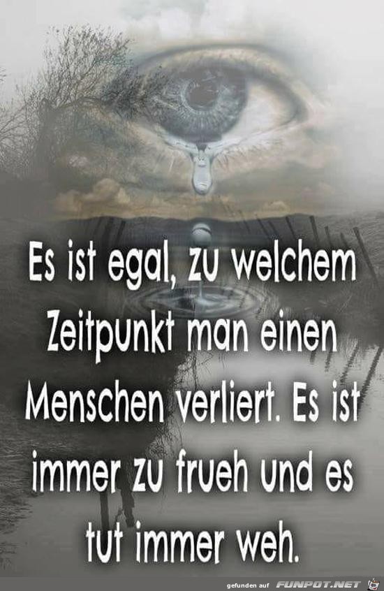 es ist egal, zu welchem Zeitpunkt........ es ist egal, zu welchem Zeitpunkt........