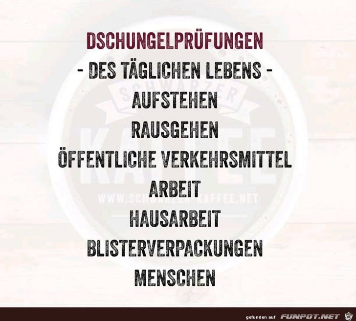 Dschungelprüfungen Dschungelprüfungen