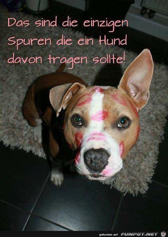 Soooo lieb