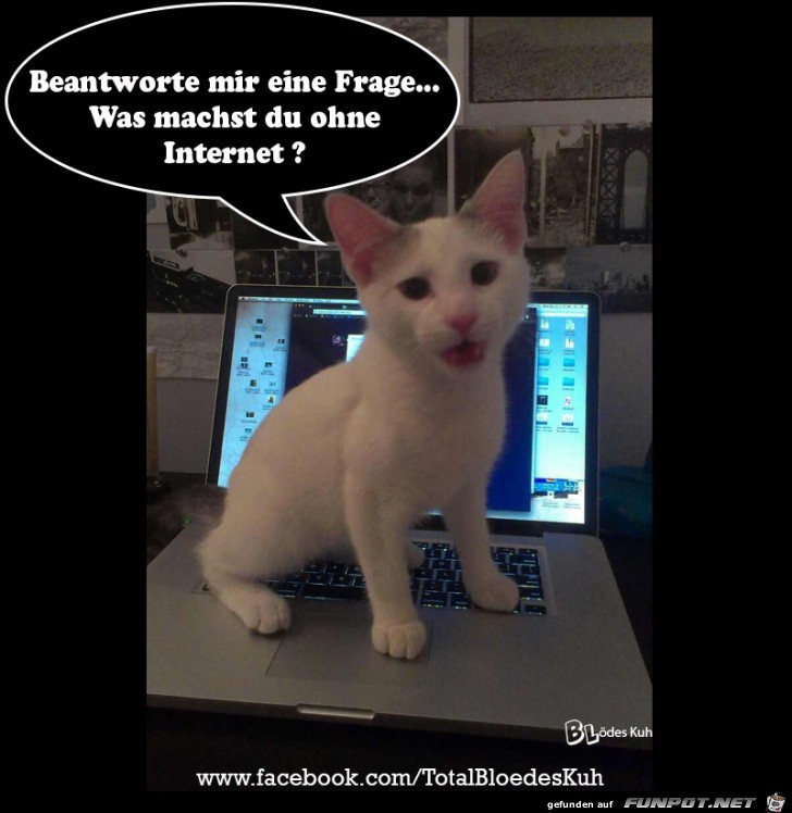 Beantworte mir eine Frage