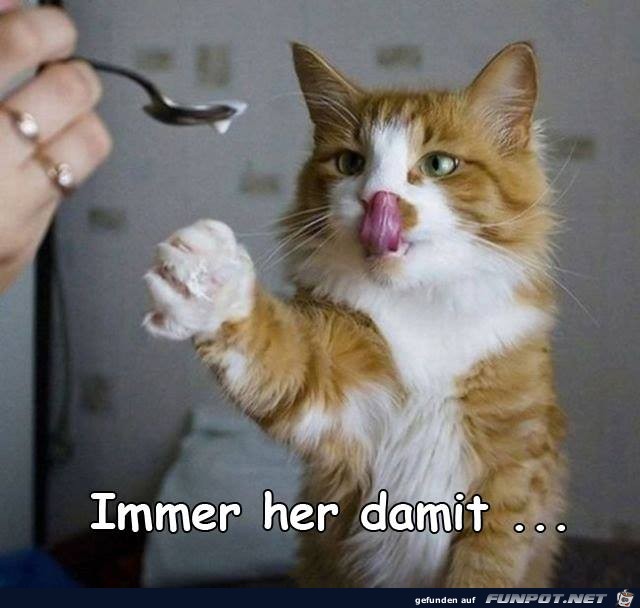 Immer her damit Immer her damit