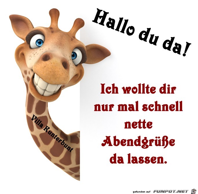 Hallo du da