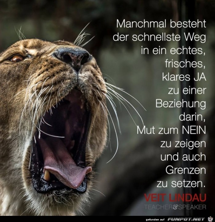 Manchmal besteht Manchmal besteht