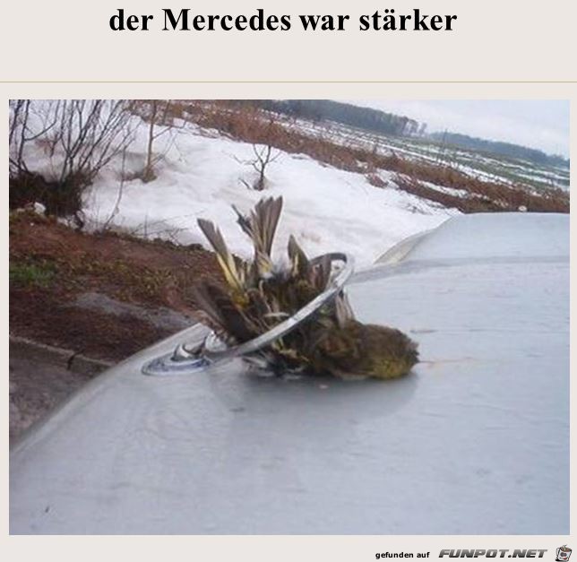 MERCEDES MERCEDES
