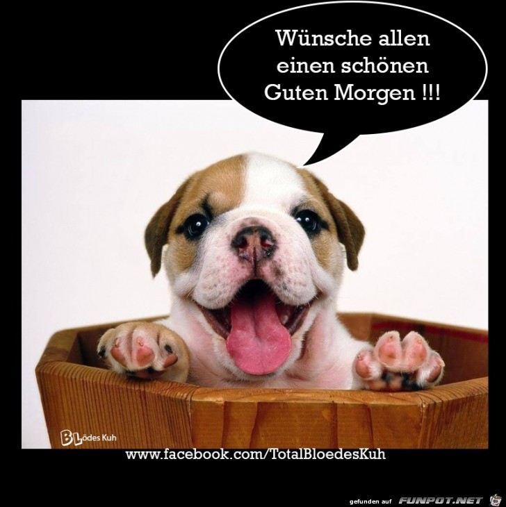 Schoenen Guten Morgen Schoenen Guten Morgen