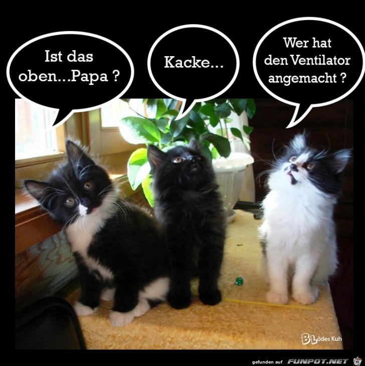 Wer hat Wer hat