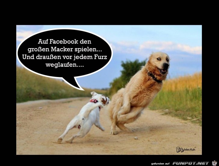 Vor jeden Furz weglaufen Vor jeden Furz weglaufen