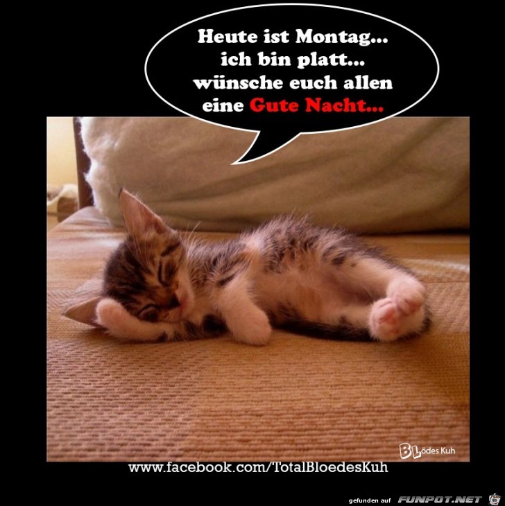 Heut ist Montag Heut ist Montag