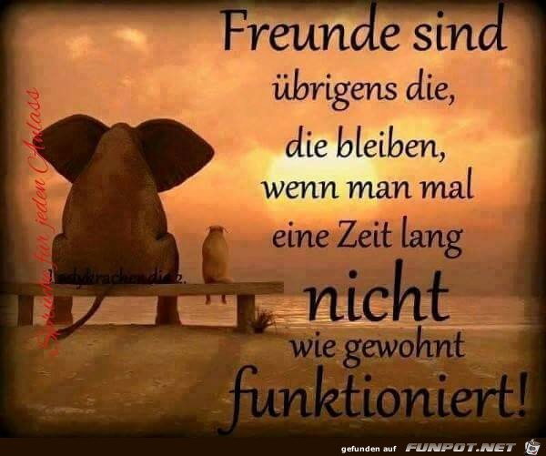 Freunde sind Freunde sind