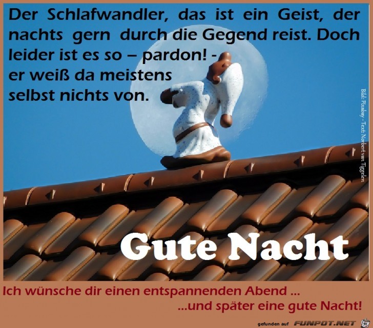 Schlafwandler 2017 Schlafwandler 2017