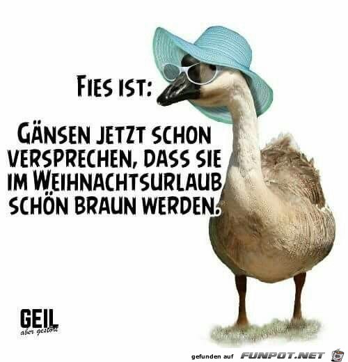 Wirklich fies Wirklich fies