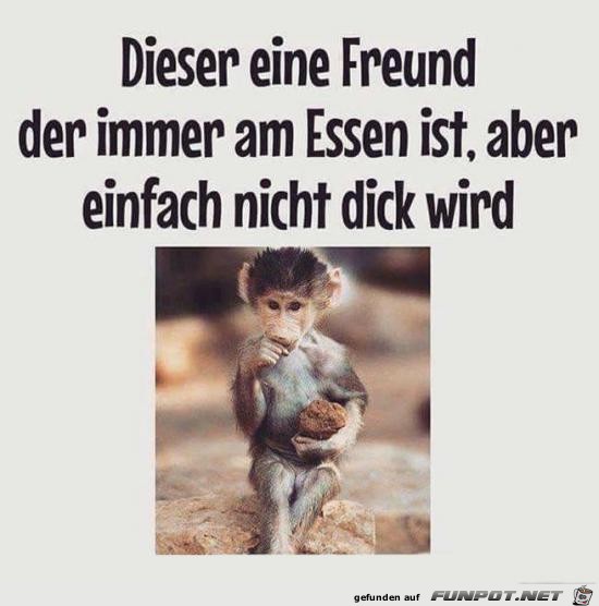 Dieser eine Freund