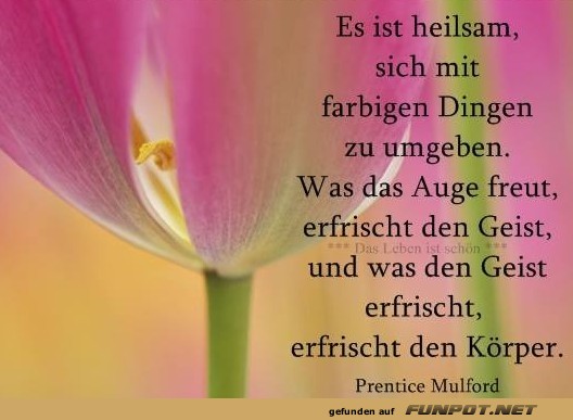 Es ist heilsam Es ist heilsam