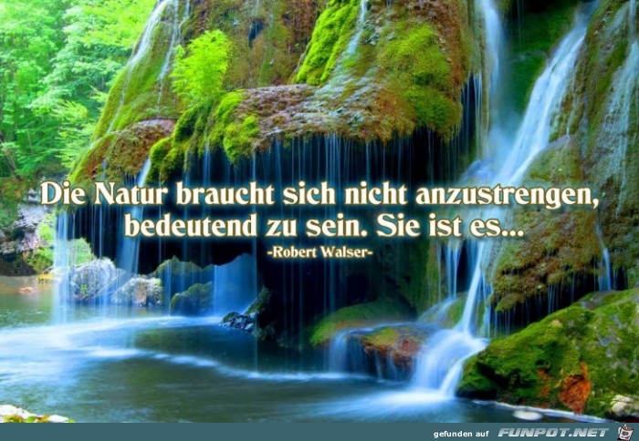 Die Natur braucht nicht Die Natur braucht nicht