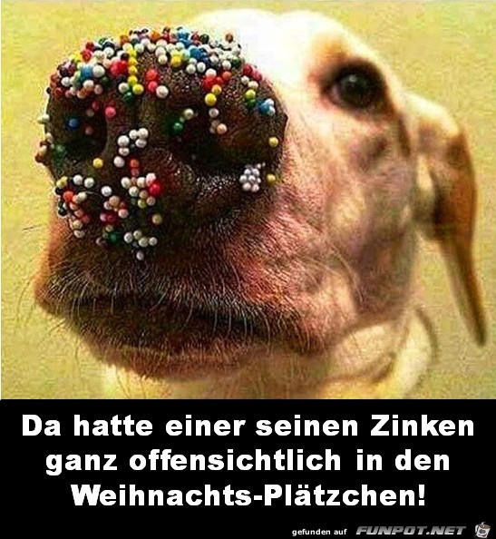 Ein Dieb Ein Dieb