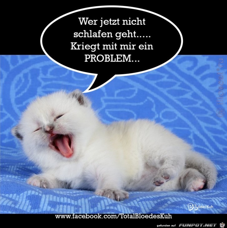 Wer nicht schlafen geht Wer nicht schlafen geht