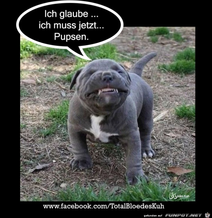 Ich glaube