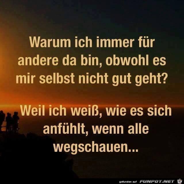 Warum ich immer Warum ich immer