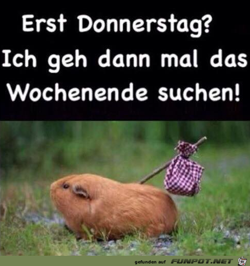 Erst Donnerstag