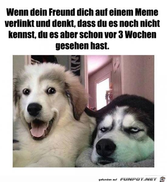 Wie langweilig Wie langweilig