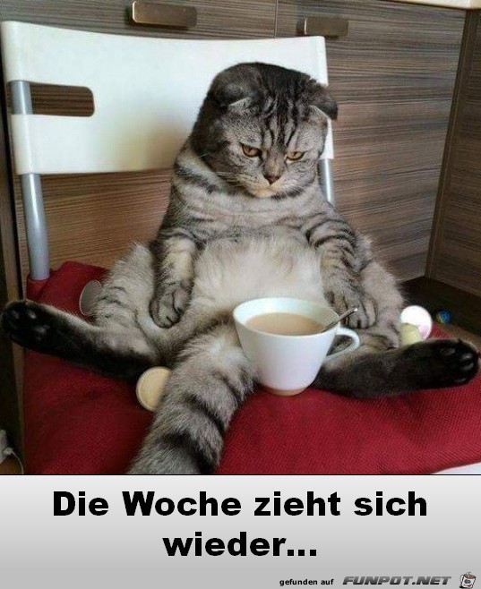 Die Woche zieht sich Die Woche zieht sich