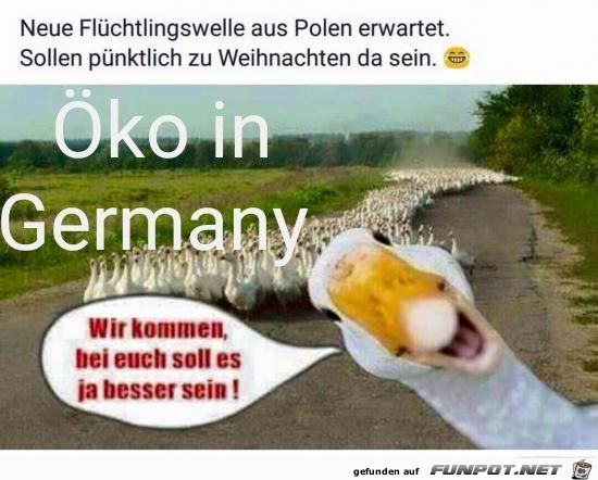 Neue Flüchtlingswelle Neue Flüchtlingswelle